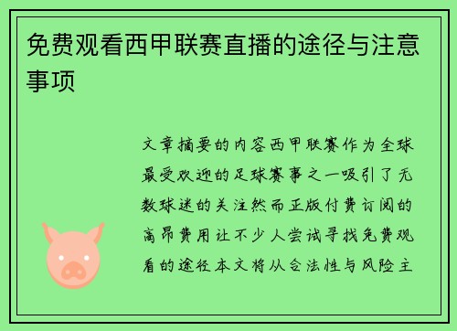 免费观看西甲联赛直播的途径与注意事项